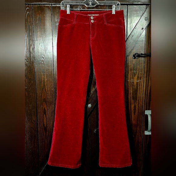 Paris Blues Cherry Velvet Pants - Picture 1 of 6
